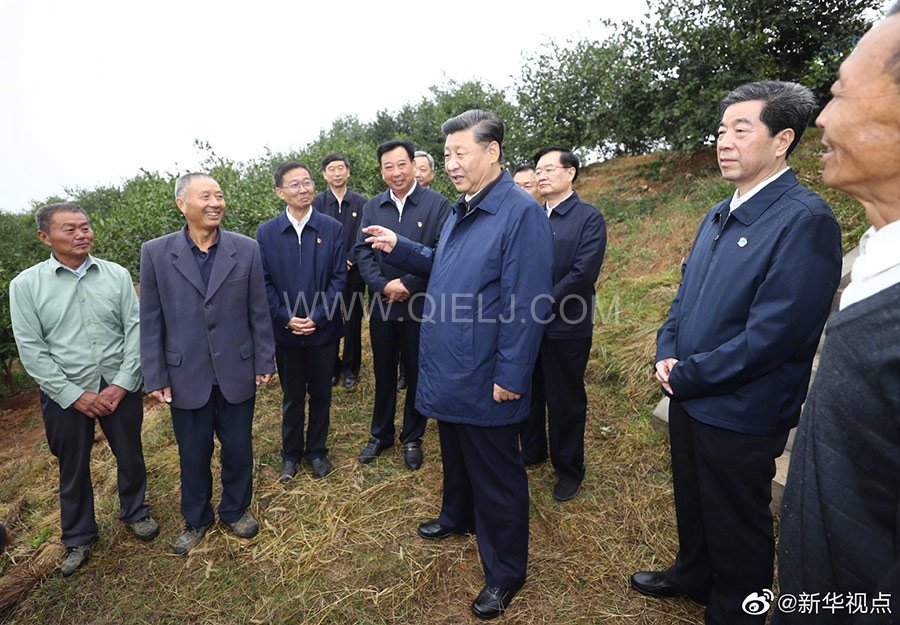 光山油茶籽榨油設備，山茶籽油榨油機廠家(圖3)