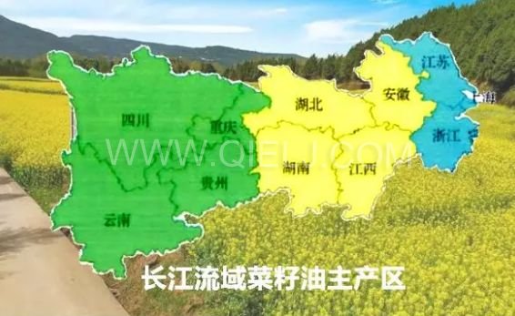 濃香菜籽油成套設(shè)備，企鵝糧油機械品質(zhì)出眾(圖1)